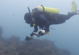Divers monitoring the seafloor