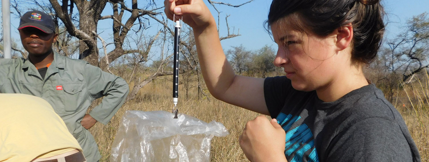 Eswatini - Savannah Conservation