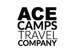 ACE-Camps
